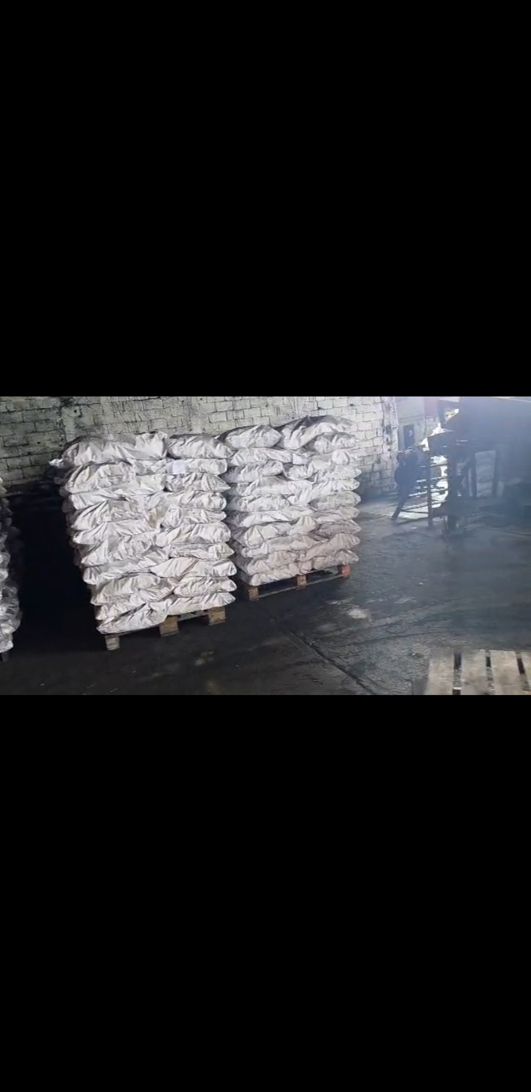 Lote de Sacos para Exportación
