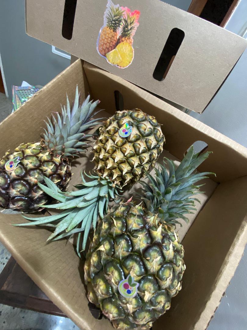 Piña MD2