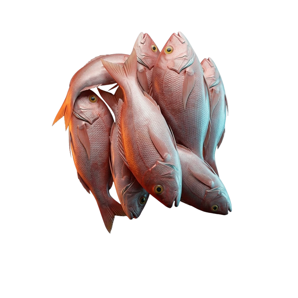 Pescados y Mariscos